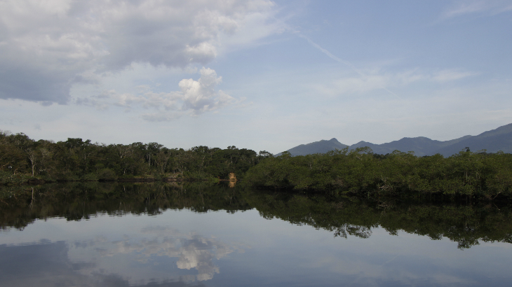 Vista da Trilha d´água do Sesc Bertioga / Foto: Lúcio Érico - Sesc 