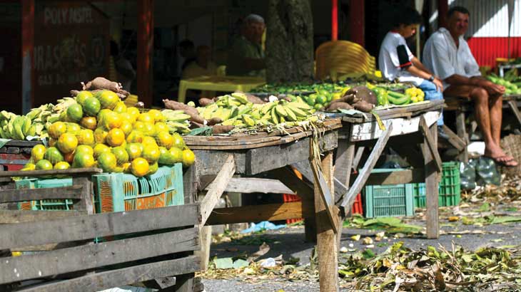 Desperdício leva a perder 30% da produção mundial de alimentos / Foto: Rubens Chaves/Folhapress