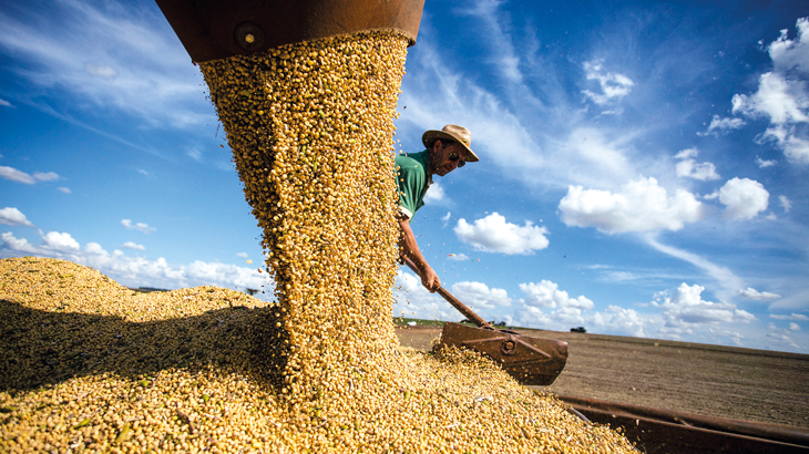 Brasil é o segundo maior produtor de soja / Foto: Ernesto Reghran/Pulsar Imagens