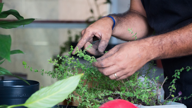 Fotos: Oficina Dicas de Jardinagem no Verão - Créditos: Mirella Ghiraldi