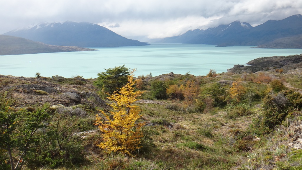 Trekking nas margens do Lago O’Higgins, no Chile