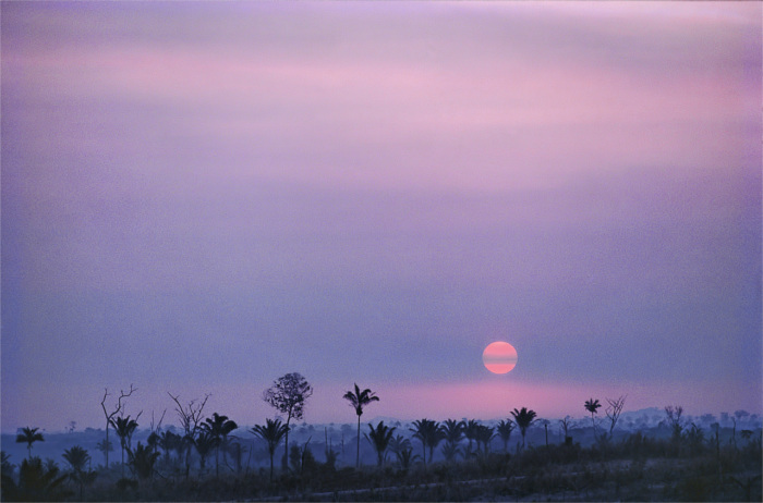 Amazônia Ocupada