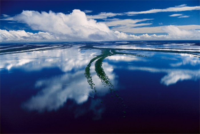 Amazônia Ocupada