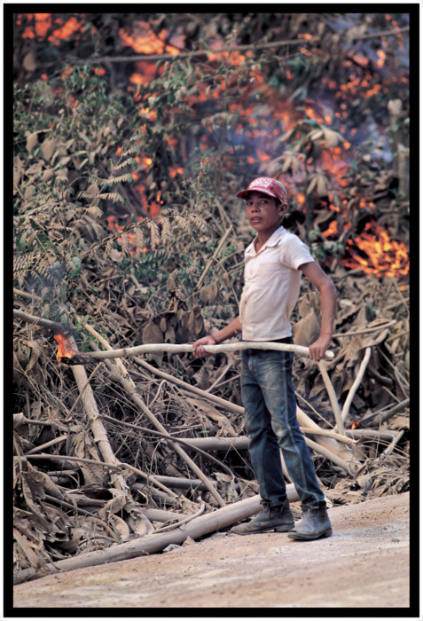 Amazônia Ocupada