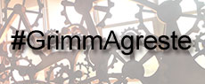 Artes Visuais: As Hashtags de Grimm Agreste