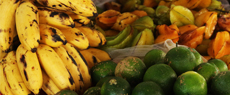 Meio Ambiente: Pequenos produtores de alimentos agroecológicos e artesanato do Vale do Ribeira realizam entregas durante isolamento social