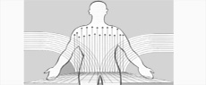 Características do movimento corporal: Aspectos psicológicos da atividade motora do adulto