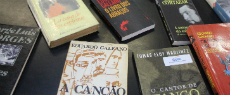 Uma viagem literária pela América Latina