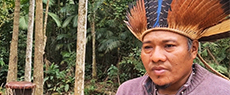 Território e Ancestralidade: as comunidades indígenas Guarani Mbya no Vale do Ribeira